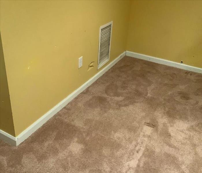 Carpet with water spots in corner of a room