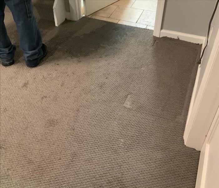 Basement with wet carpet 
