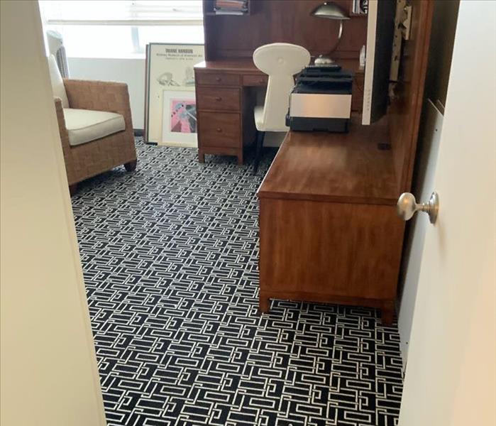 Room with black and white carpet and furniture