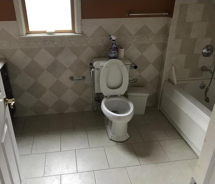 Clean bathroom with toilet and shower 