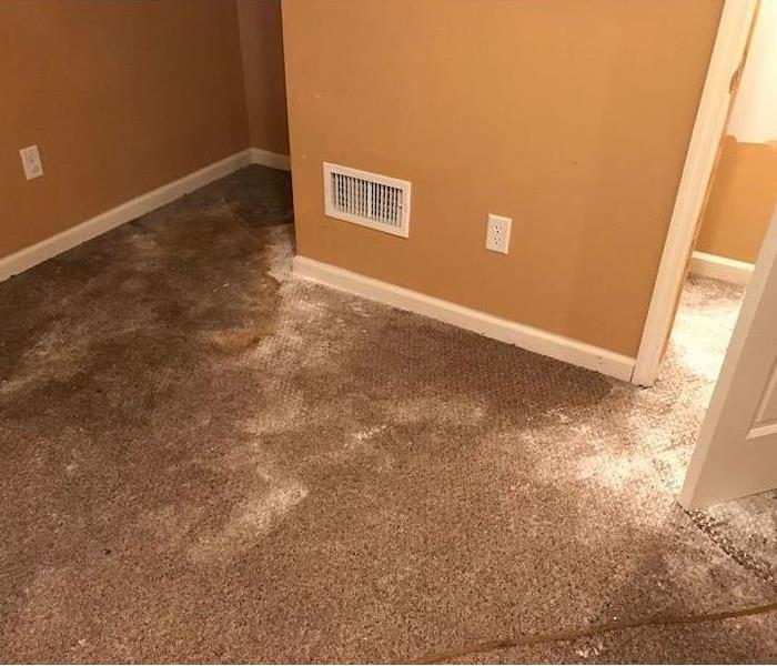 Room with wet carpet