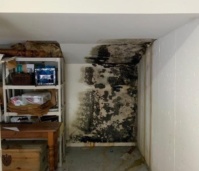 Basement with visible mold damage on the wall and ceiling