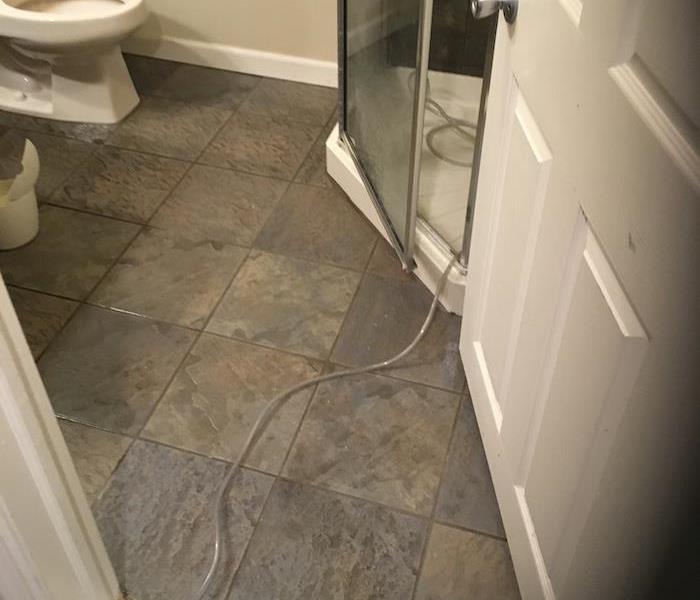 bathroom with dehumidifier draining in the shower