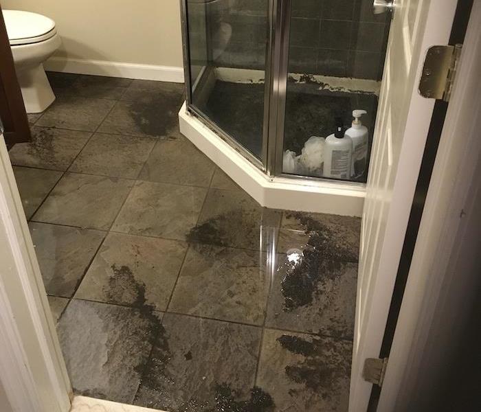 bathroom with sewage on the shower and floor